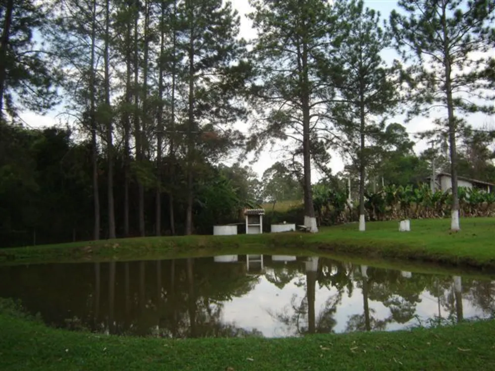 Sítio, 4 quartos, 1000 m² - Foto 16