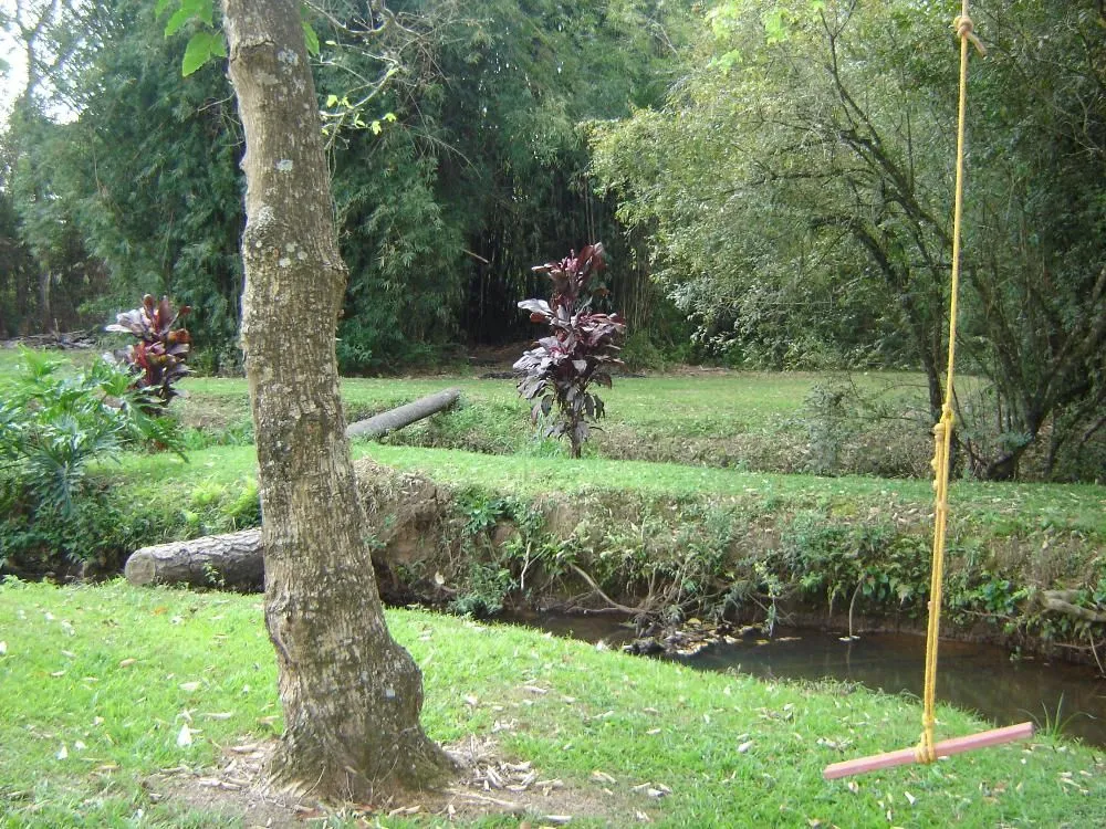 Chácara, 4 quartos, 1000 m² - Foto 7
