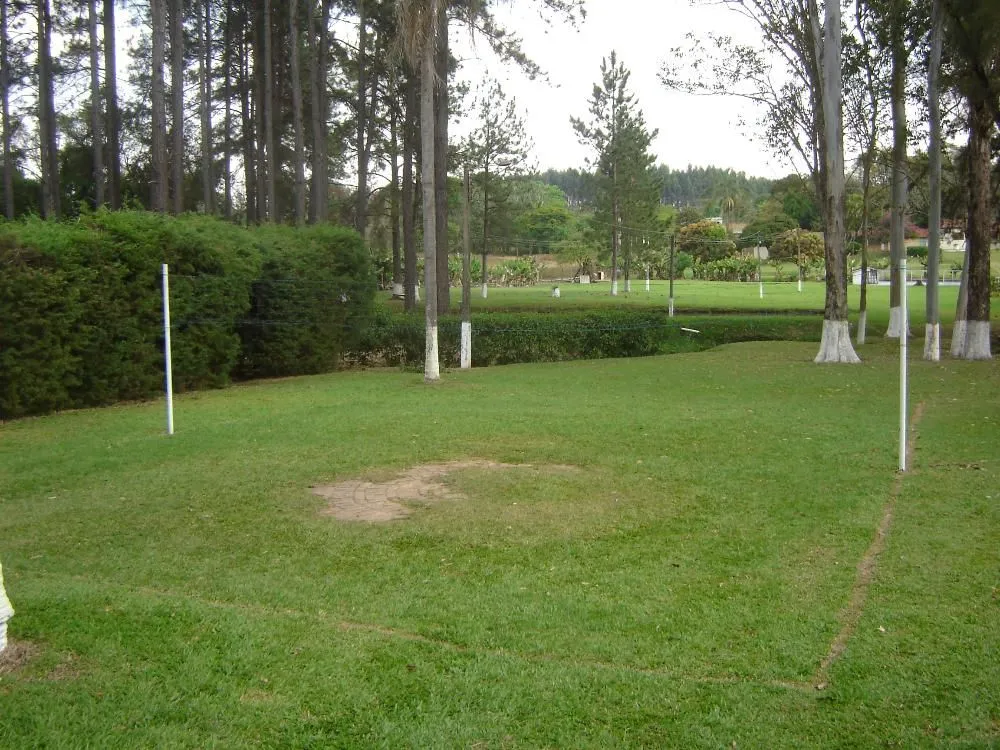Chácara, 4 quartos, 1000 m² - Foto 10