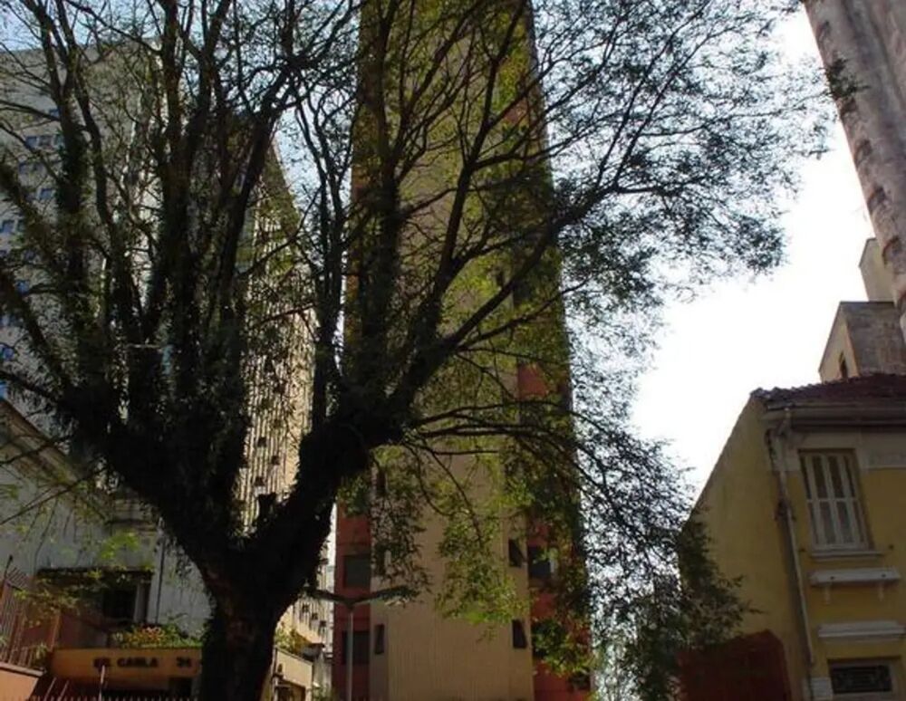 Apartamento, 1 quarto, 45 m² - Foto 3