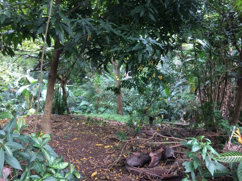 Terreno - Foto 7