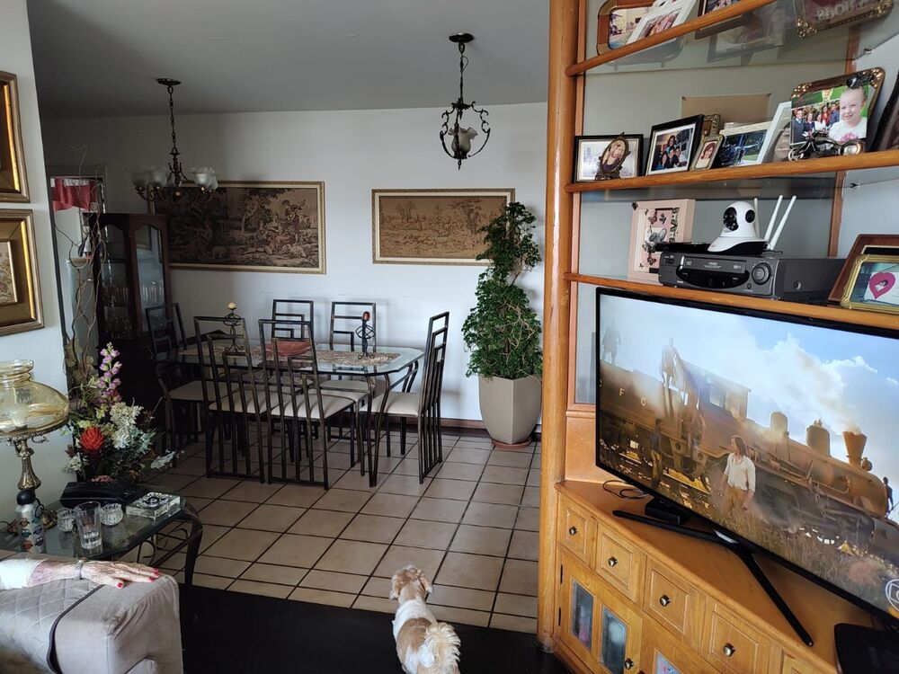 Apartamento, 3 quartos, 100 m² - Foto 10