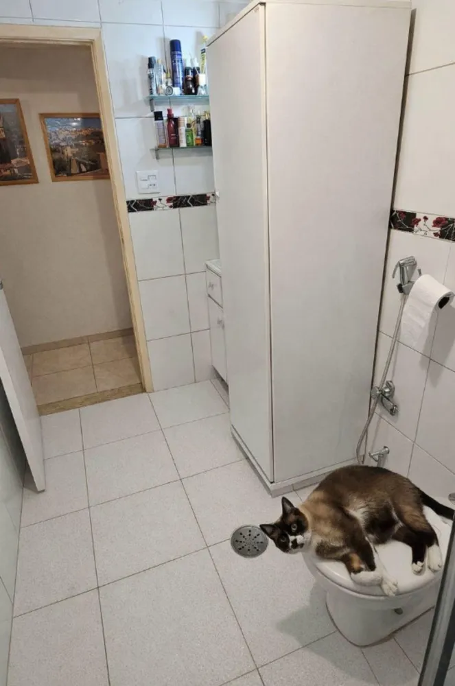 Apartamento, 2 quartos, 70 m² - Foto 2
