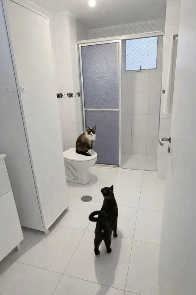 Apartamento, 2 quartos, 70 m² - Foto 3