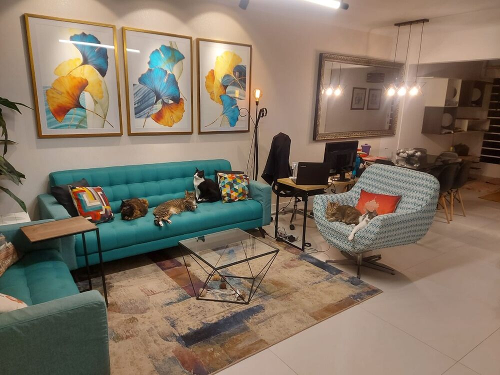 Casa, 3 quartos, 120 m² - Foto 1