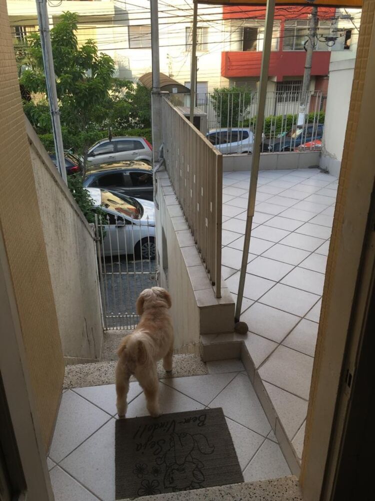 Casa, 2 quartos, 120 m² - Foto 1