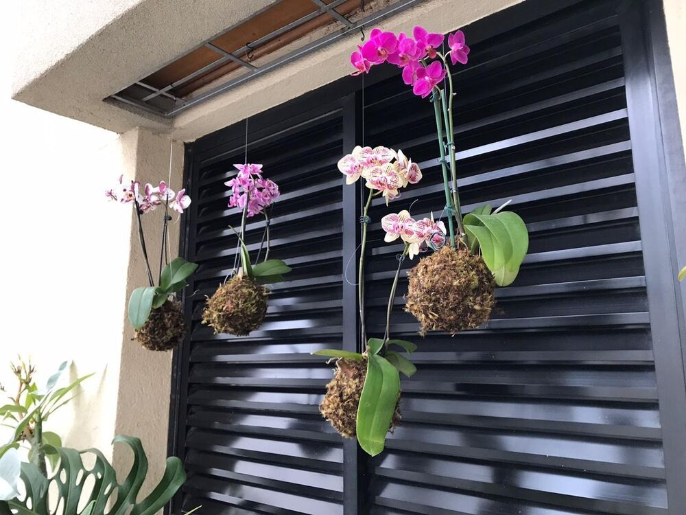 Apartamento, 1 quarto, 44 m² - Foto 1