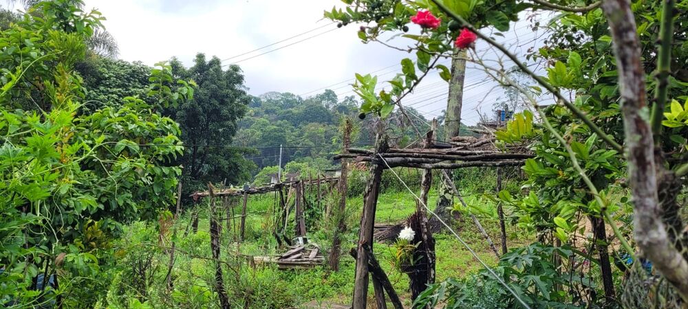 Terreno, 585 m² - Foto 1