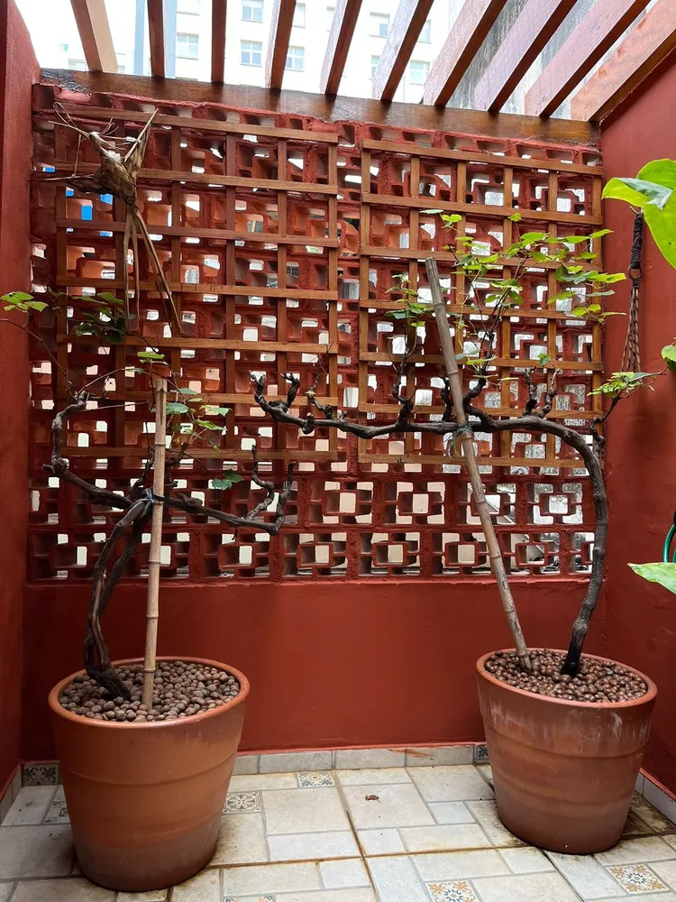 Casa, 2 quartos, 85 m² - Foto 8