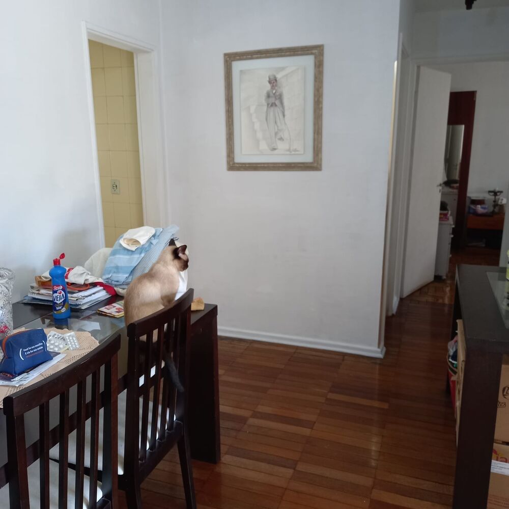 Apartamento, 2 quartos, 90 m² - Foto 2