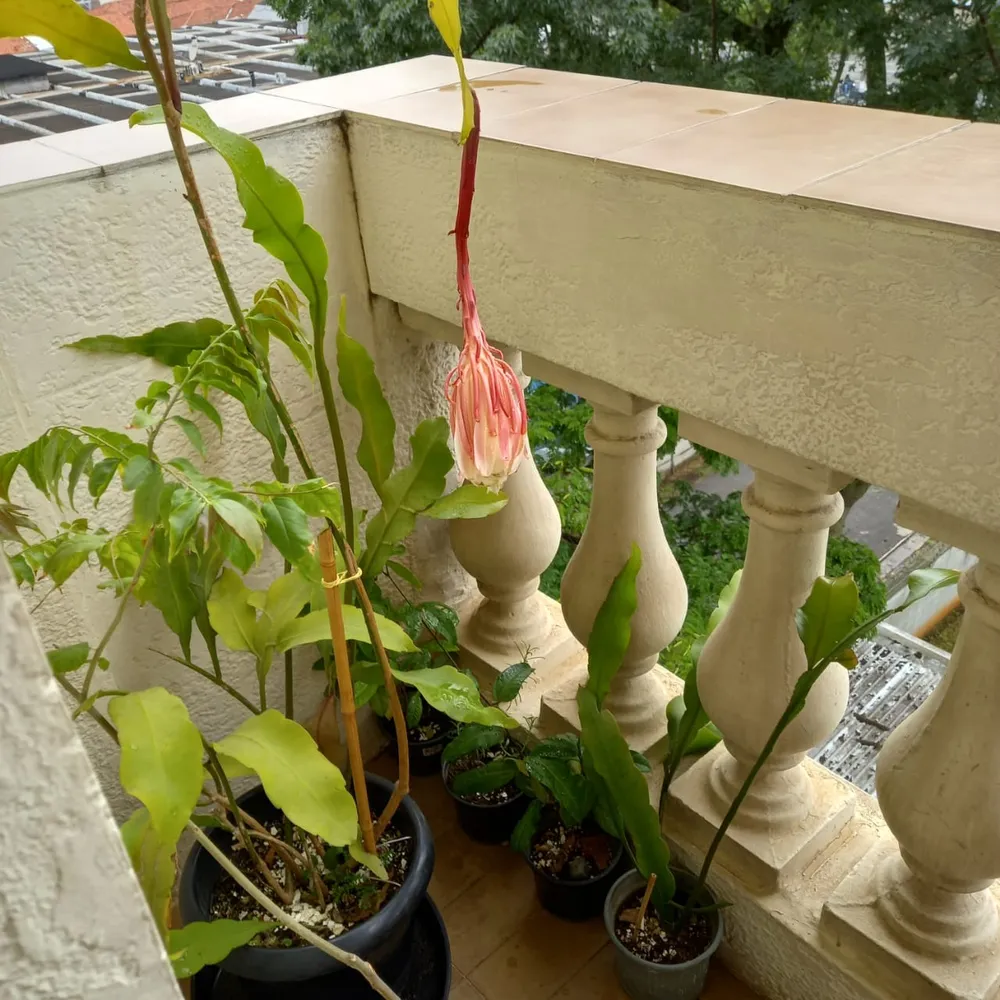 Apartamento, 2 quartos, 90 m² - Foto 12