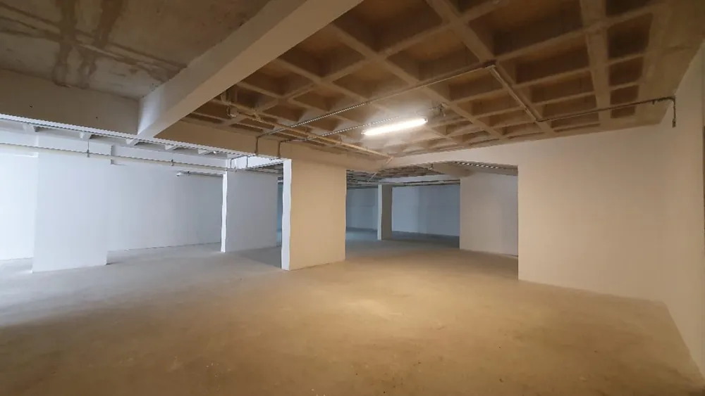 Sala-Conjunto, 390 m² - Foto 8