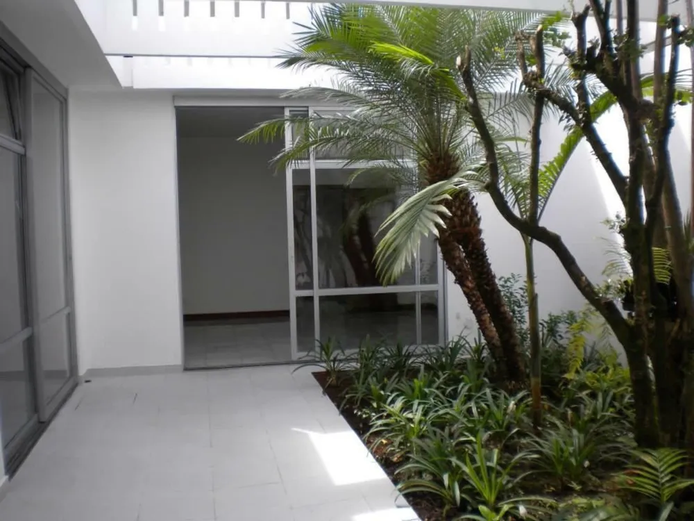 Casa, 4 quartos, 850 m² - Foto 6