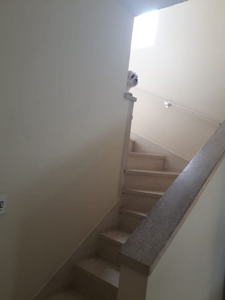 Casa, 3 quartos, 124 m² - Foto 4