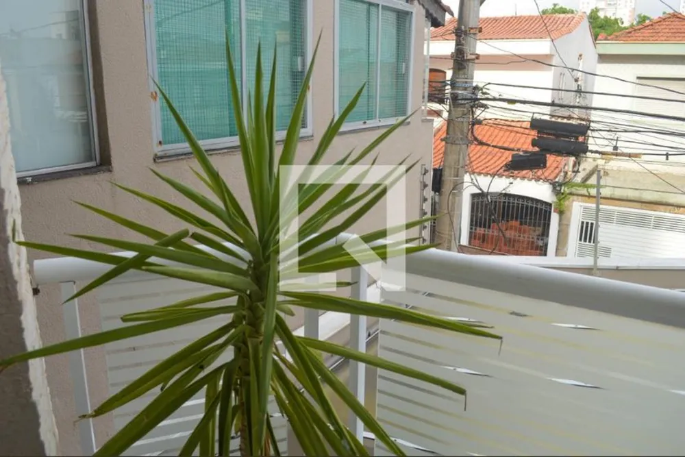 Casa, 3 quartos, 280 m² - Foto 7