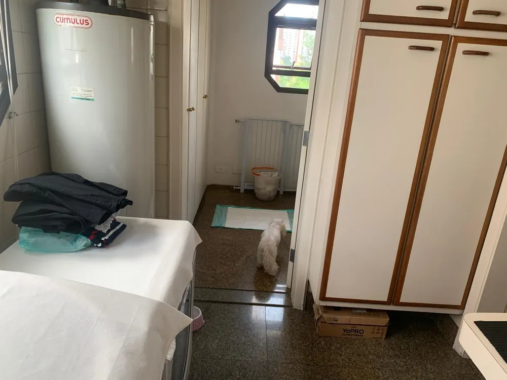 Apartamento, 4 quartos, 180 m² - Foto 7
