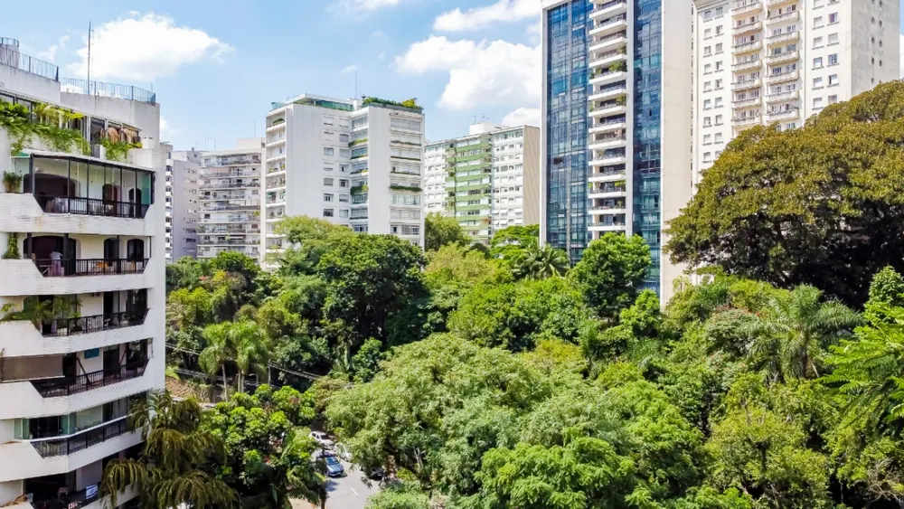 Apartamento, 3 quartos, 300 m² - Foto 3