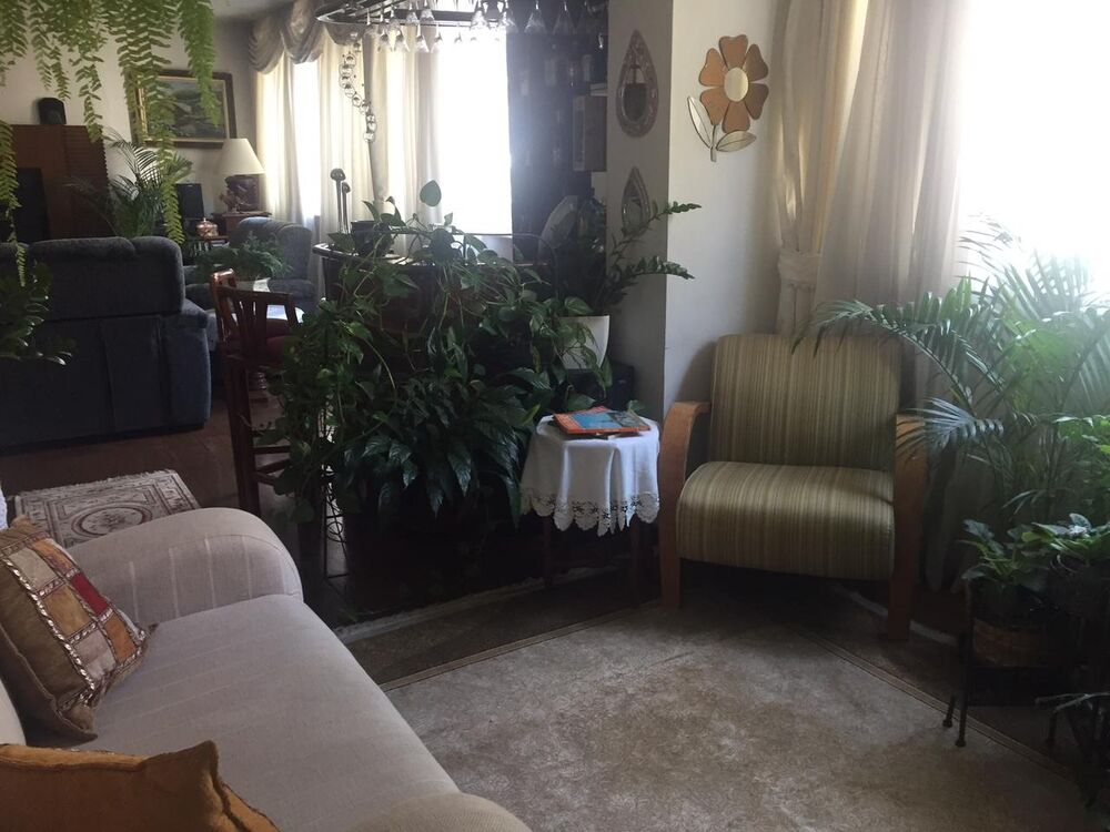 Apartamento, 3 quartos, 256 m² - Foto 1