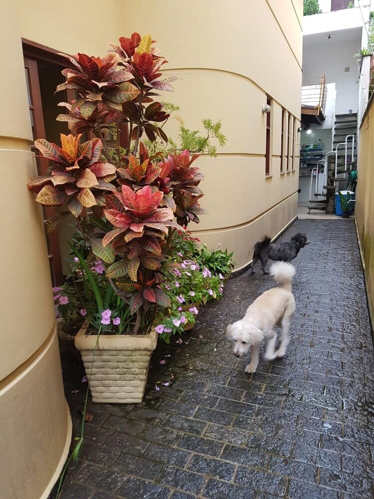 Casa, 3 quartos, 200 m² - Foto 1