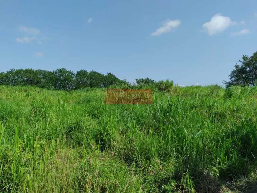 Sítio, 2 quartos, 5 hectares - Foto 22