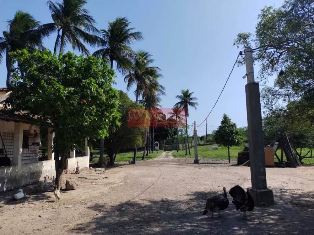 Sítio, 2 quartos, 5 hectares - Foto 16