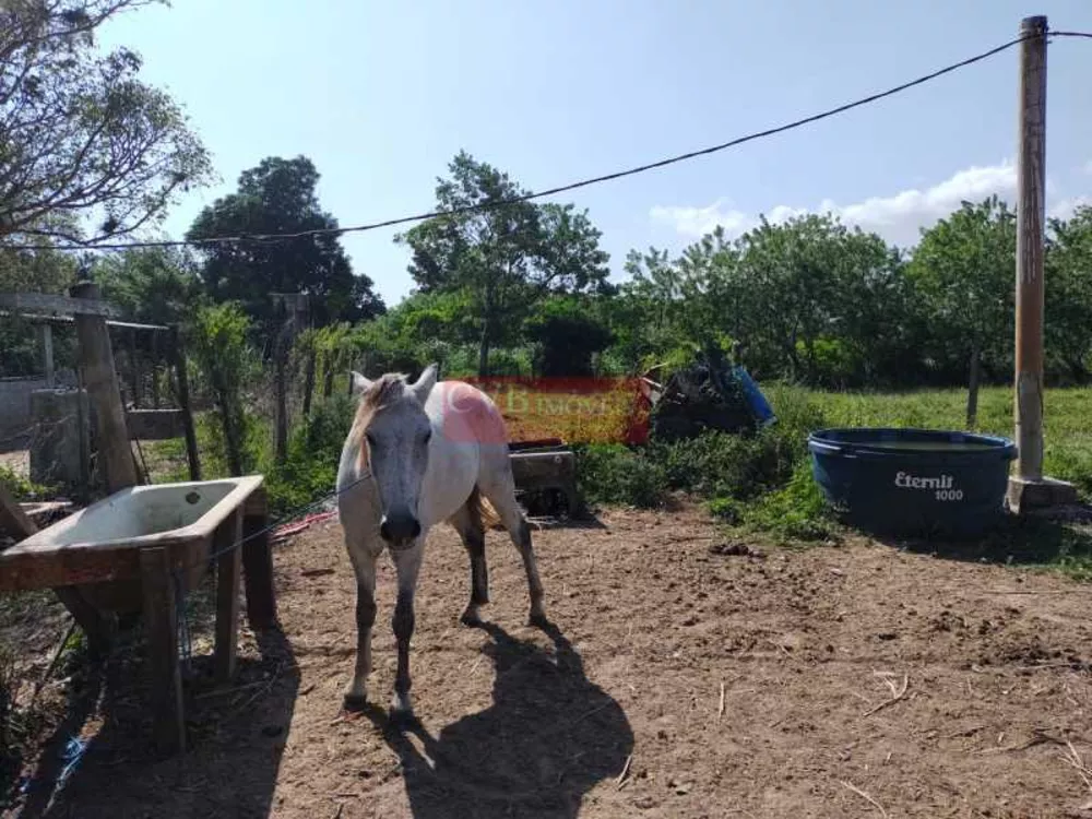 Sítio, 2 quartos, 5 hectares - Foto 28