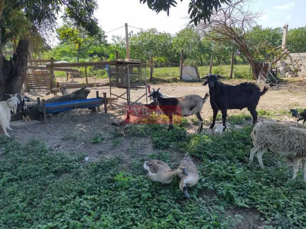 Sítio, 2 quartos, 5 hectares - Foto 10