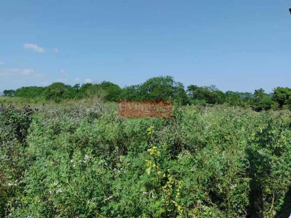 Sítio, 2 quartos, 5 hectares - Foto 18