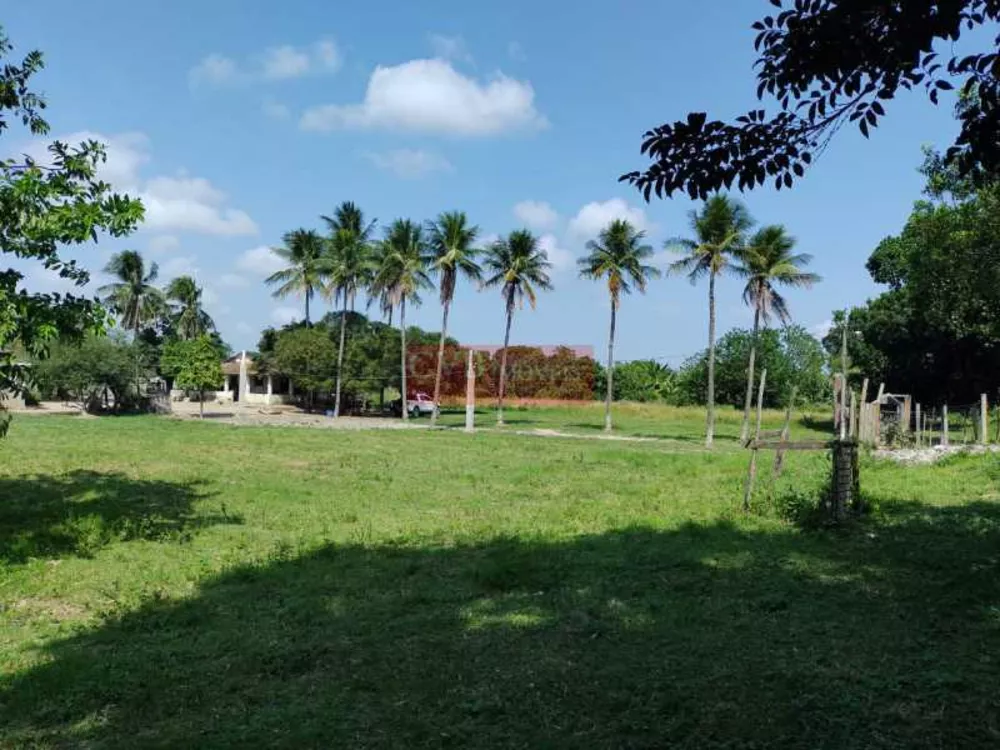 Sítio, 2 quartos, 5 hectares - Foto 6