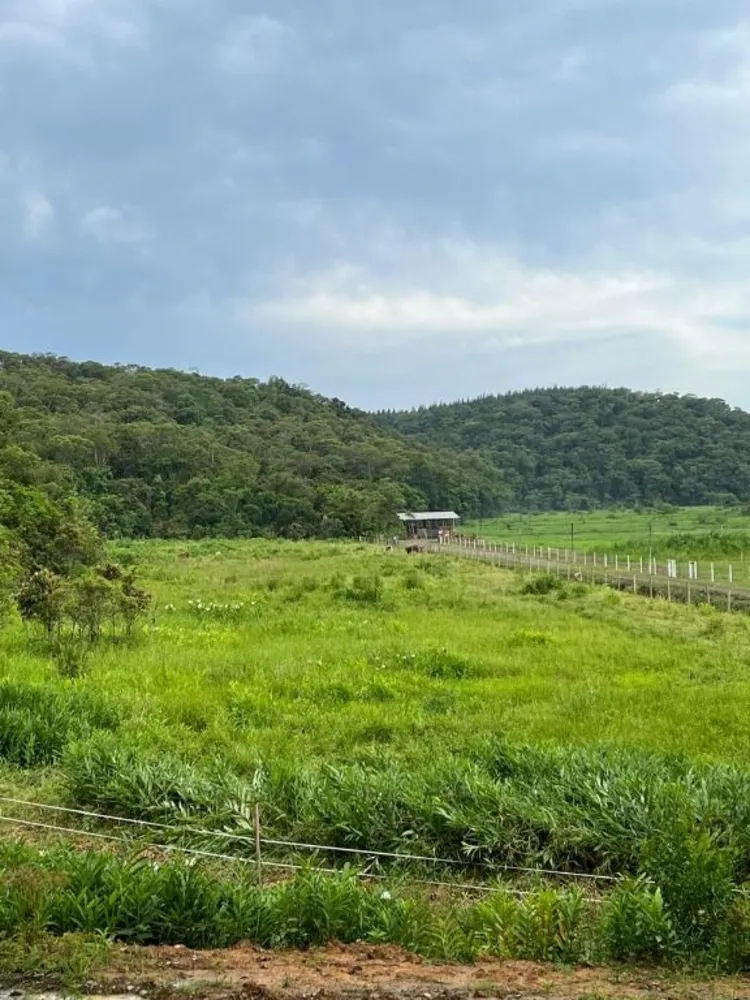 Terreno, 6 hectares - Foto 1