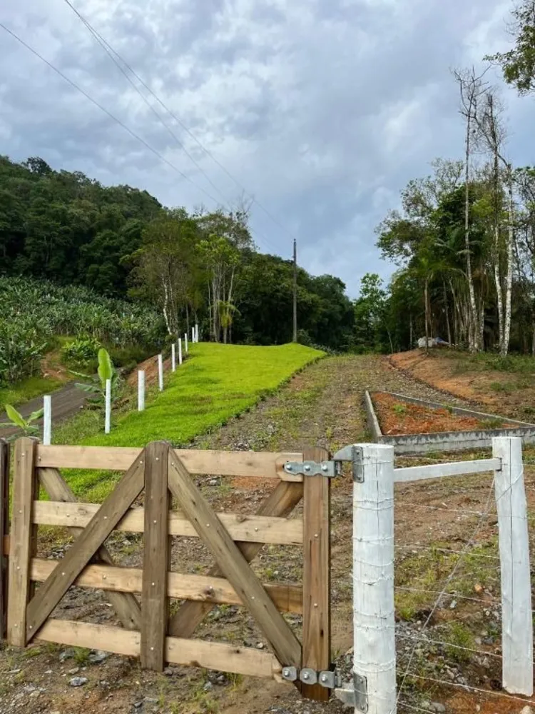 Terreno, 6 hectares - Foto 3