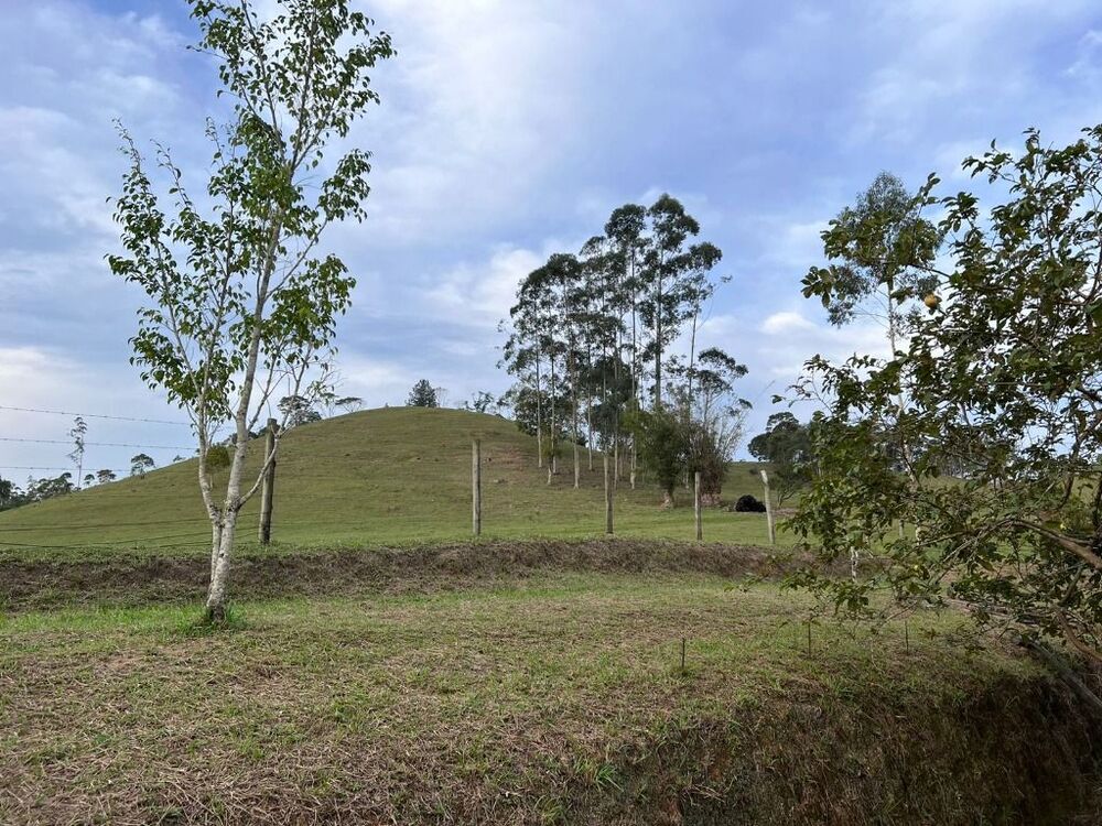 Sítio, 5 quartos, 2 hectares - Foto 8