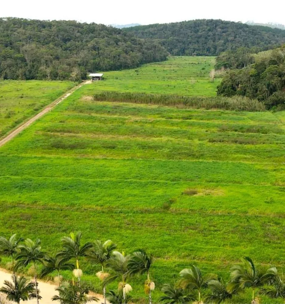 Terreno, 9 hectares - Foto 2