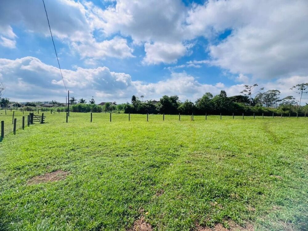 Sítio, 3 quartos, 3000 m² - Foto 7