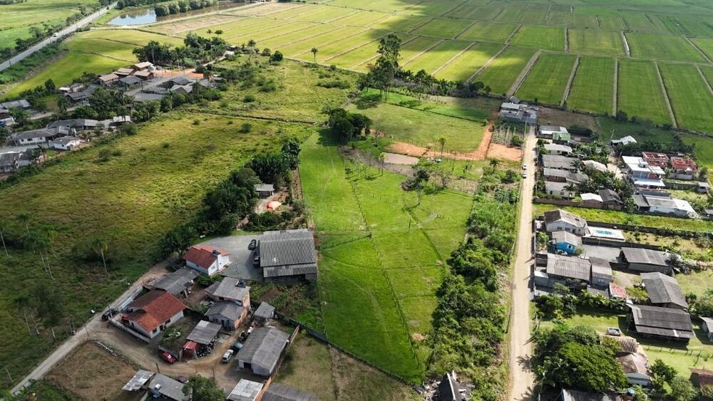 Sítio, 3 quartos, 3000 m² - Foto 8