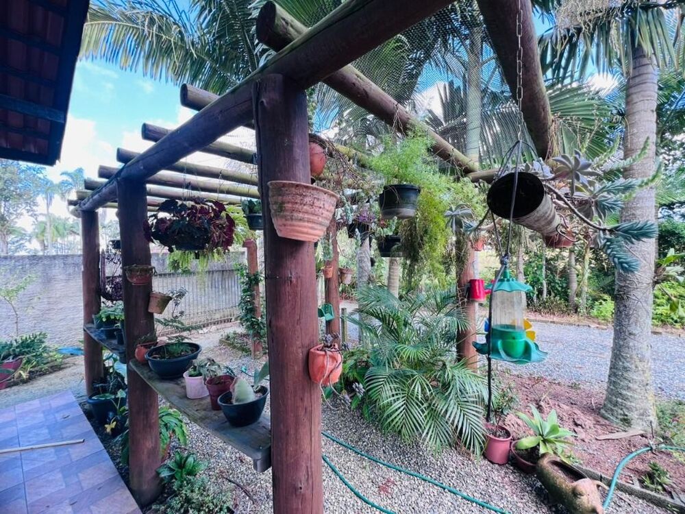 Sítio, 3 quartos, 3000 m² - Foto 2