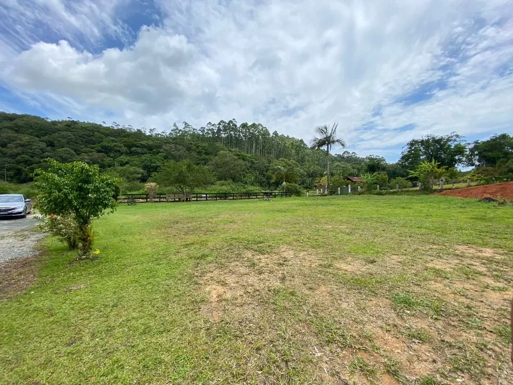 Terreno, 3 hectares - Foto 3