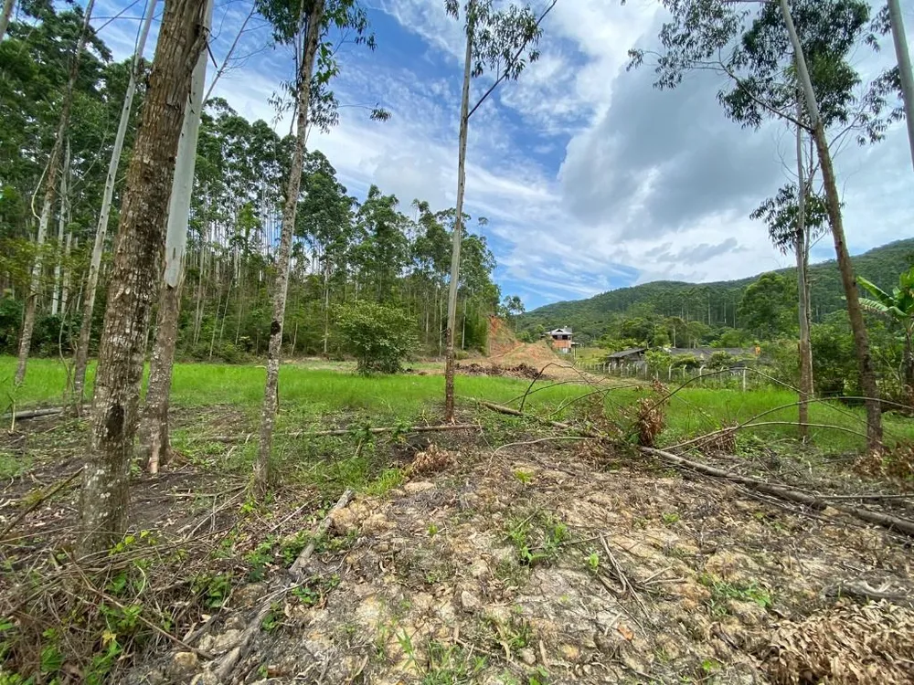 Terreno, 3 hectares - Foto 2