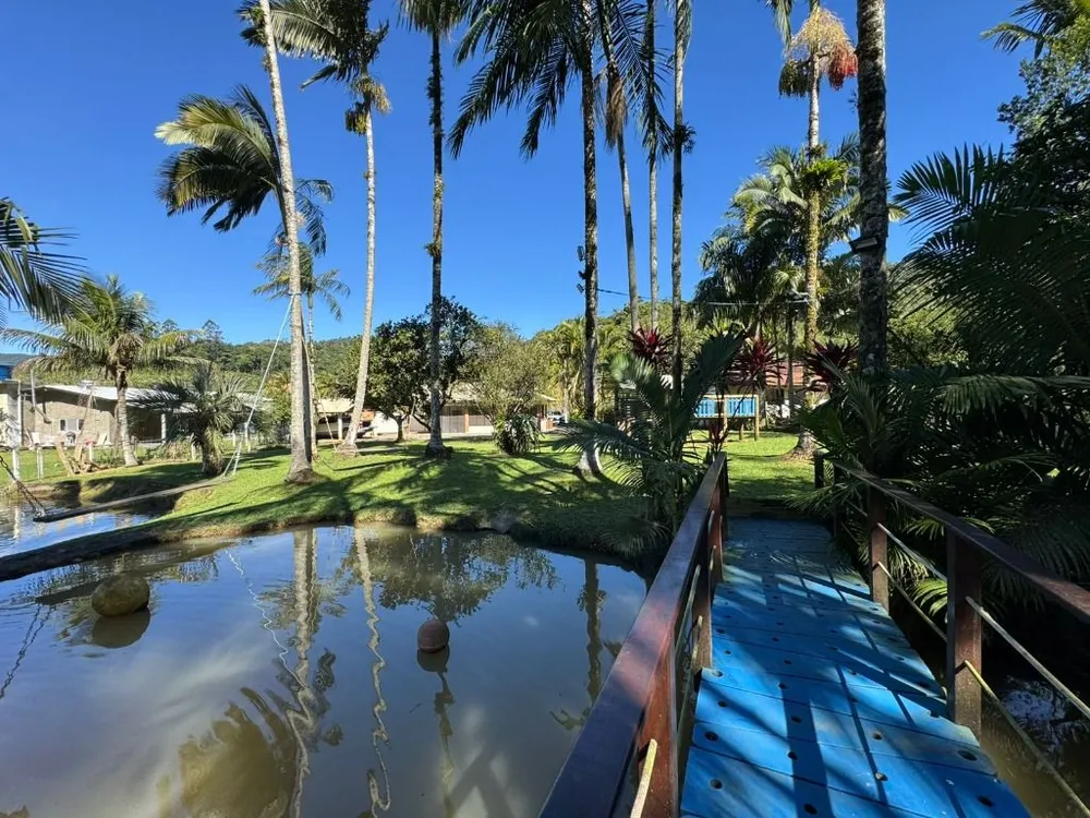 Sítio, 4 quartos, 3200 m² - Foto 3