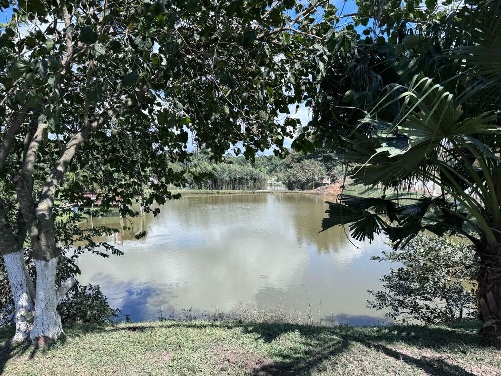 Sítio, 3 quartos, 8 m² - Foto 9