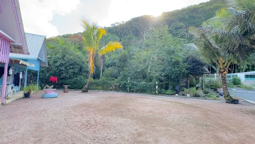 Chácara, 5 quartos, 5 hectares - Foto 4