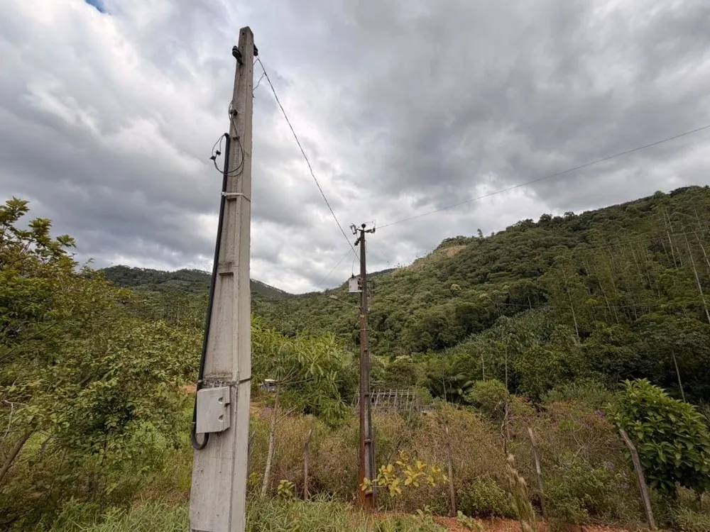 Chácara, 3000 m² - Foto 3
