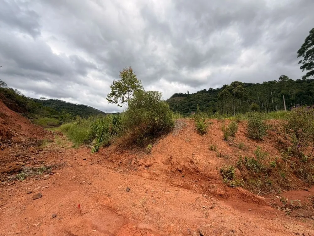 Chácara, 3000 m² - Foto 4