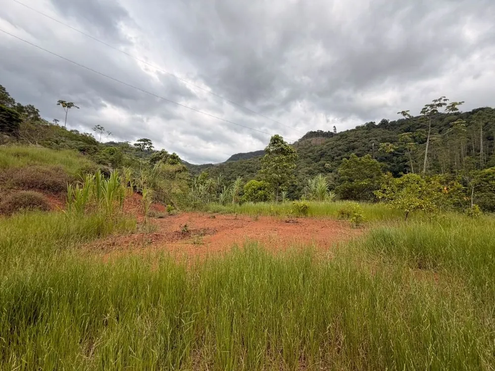 Chácara, 3000 m² - Foto 2