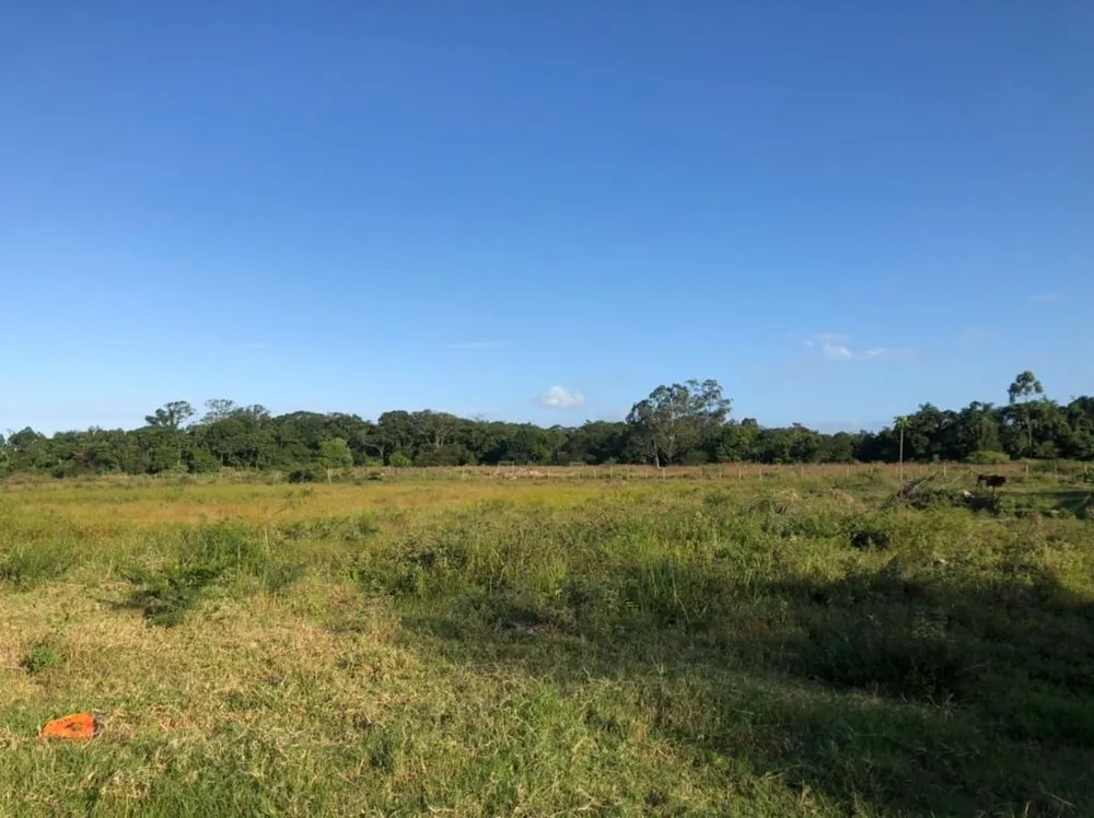 Terreno, 2 hectares - Foto 1