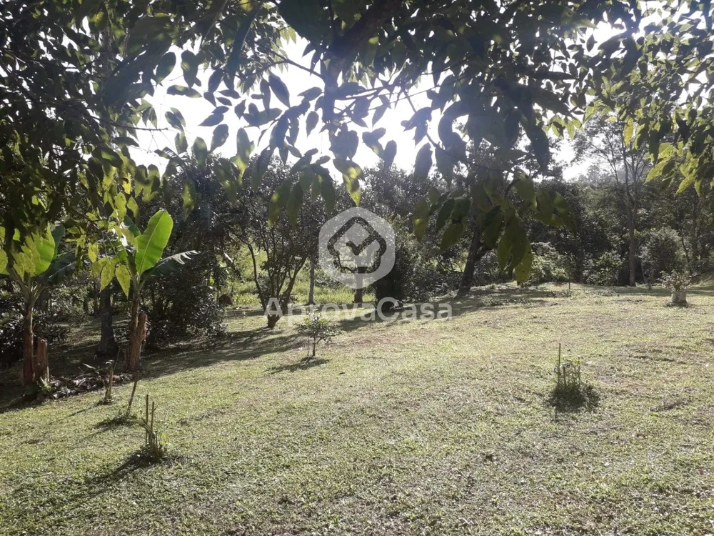 Terreno, 250 m² - Foto 5