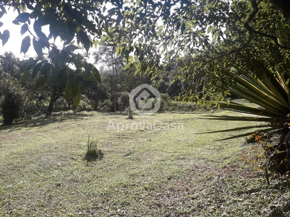 Terreno, 250 m² - Foto 4