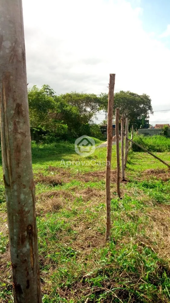 Casa, 2 quartos, 300 m² - Foto 9