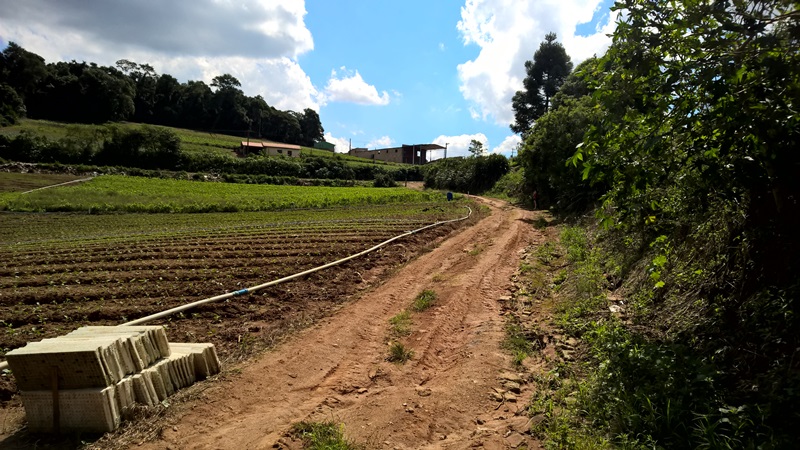 Terreno à venda, 4650m² - Foto 7