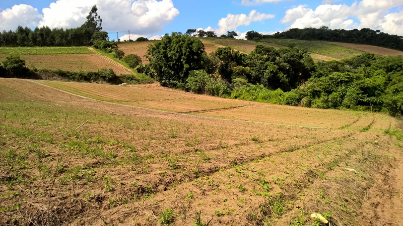 Terreno à venda, 4650m² - Foto 8